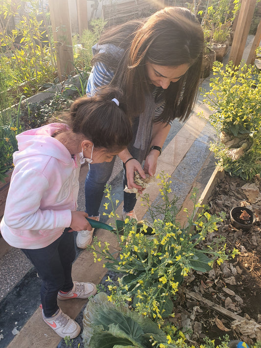 Intro to gardening for kids